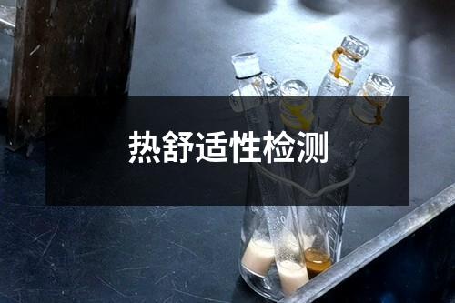 熱舒適性檢測