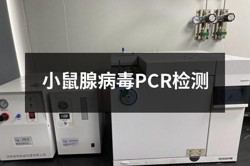 小鼠腺病毒PCR檢測