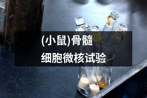 (小鼠)骨髓細胞微核試驗