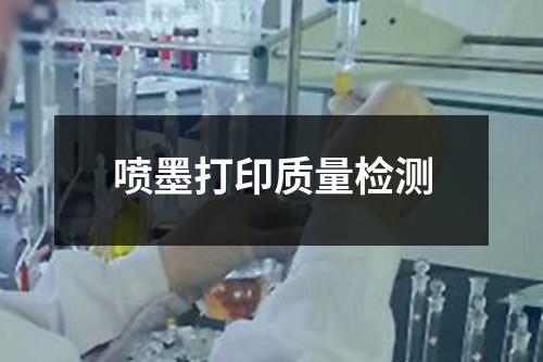 噴墨打印質量檢測