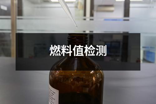 燃料值檢測