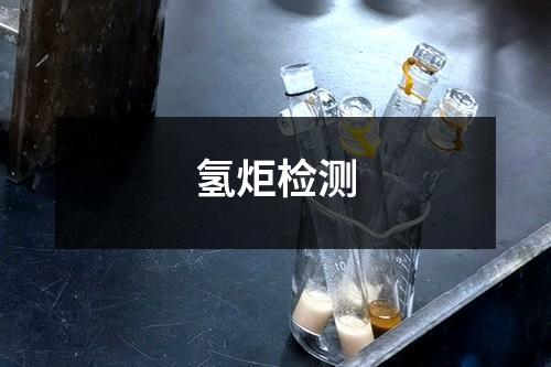 氫炬檢測(cè)