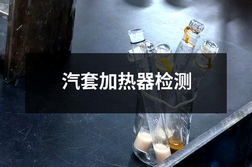 汽套加熱器檢測