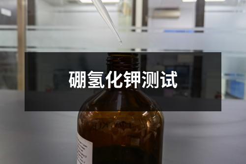 硼氫化鉀測(cè)試