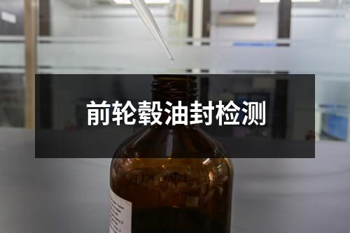 前輪轂油封檢測