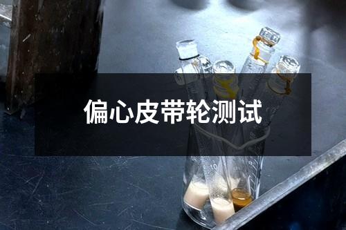 偏心皮帶輪測(cè)試