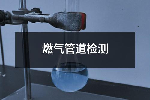 燃?xì)夤艿罊z測(cè)