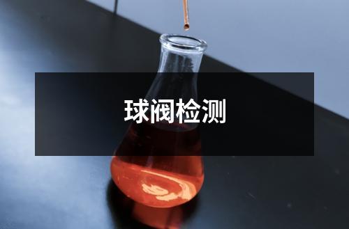 球閥檢測(cè)