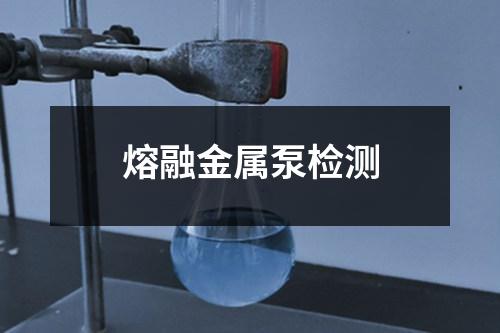 熔融金屬泵檢測(cè)