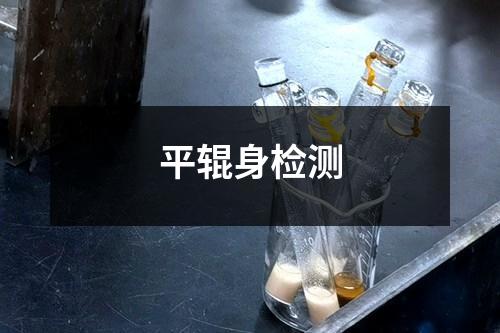 平輥身檢測(cè)