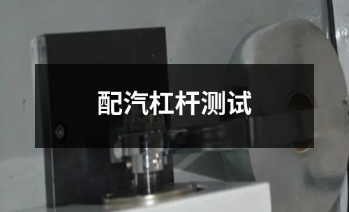 配汽杠桿測試