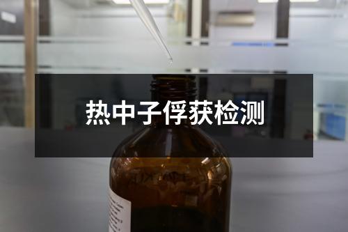 熱中子俘獲檢測(cè)