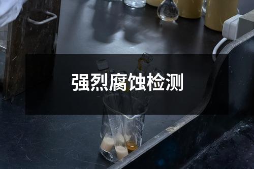 強烈腐蝕檢測