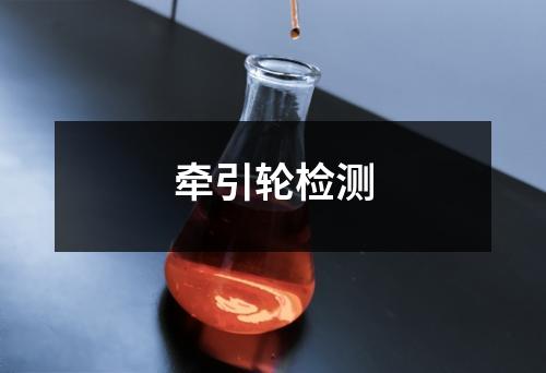 牽引輪檢測(cè)