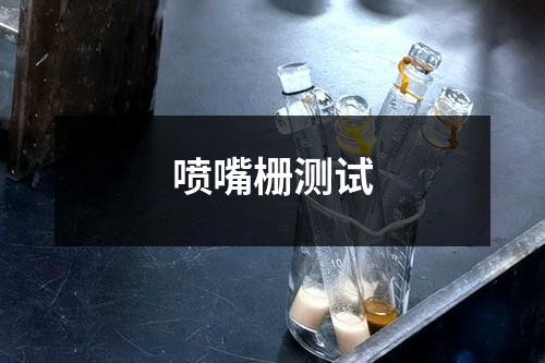 噴嘴柵測試