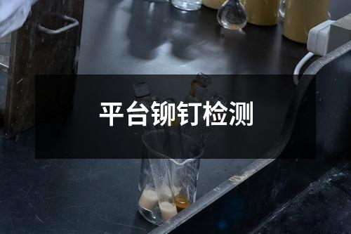 平臺鉚釘檢測