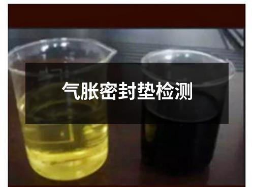 氣脹密封墊檢測