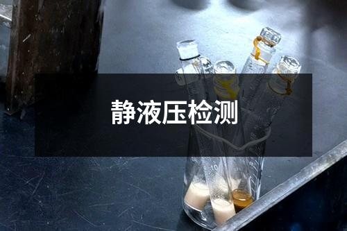 靜液壓檢測