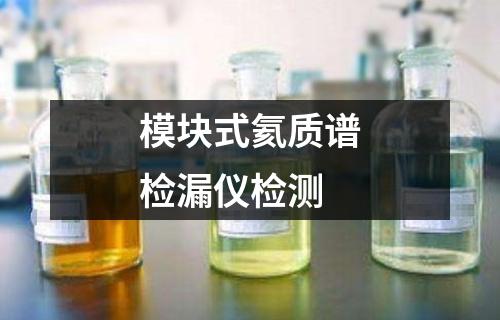 模塊式氦質(zhì)譜檢漏儀檢測(cè)