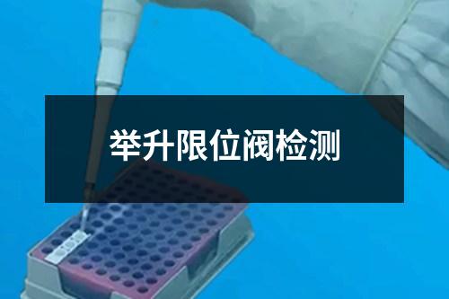 舉升限位閥檢測(cè)
