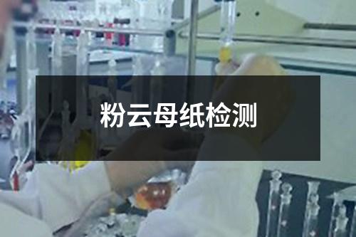 粉云母紙檢測