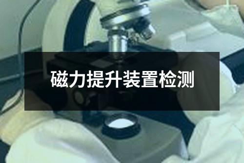 磁力提升裝置檢測(cè)