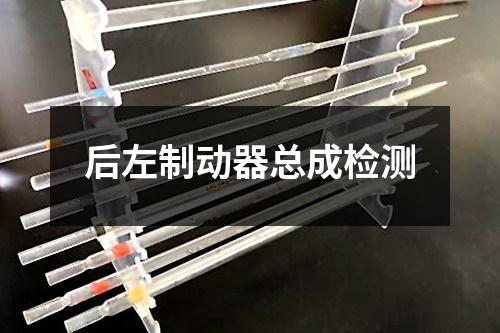 后左制動器總成檢測
