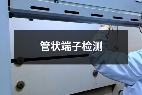 管狀端子檢測(cè)