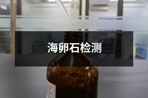 海卵石檢測