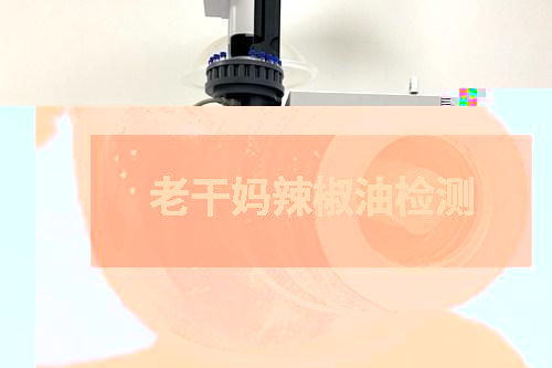 老干媽辣椒油檢測