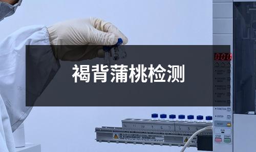 褐背蒲桃檢測(cè)