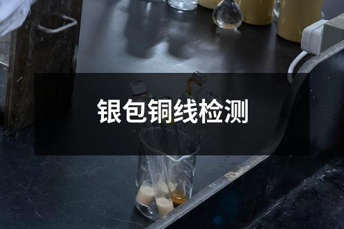 銀包銅線檢測