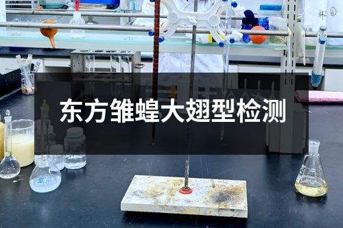 東方雛蝗大翅型檢測