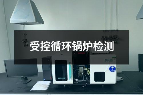 受控循環(huán)鍋爐檢測(cè)