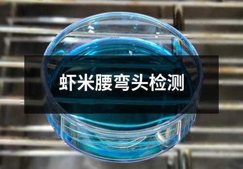 蝦米腰彎頭檢測