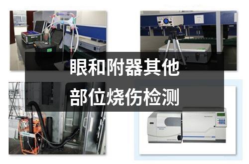眼和附器其他部位燒傷檢測(cè)