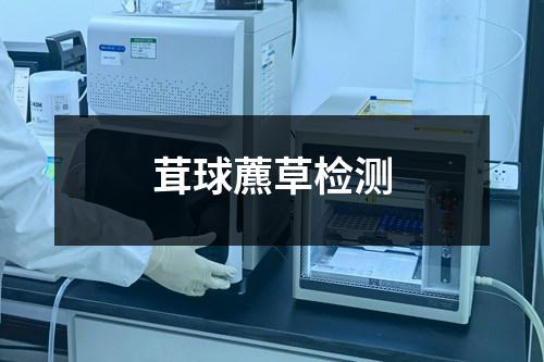茸球藨草檢測(cè)