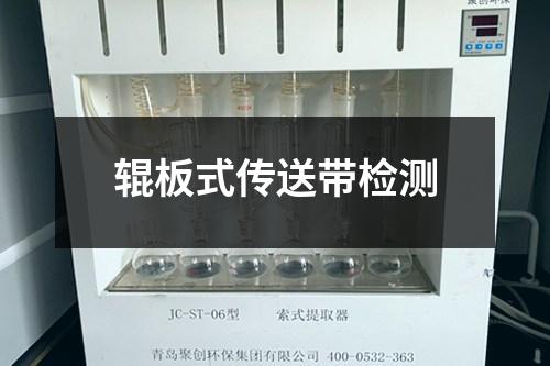 輥板式傳送帶檢測(cè)