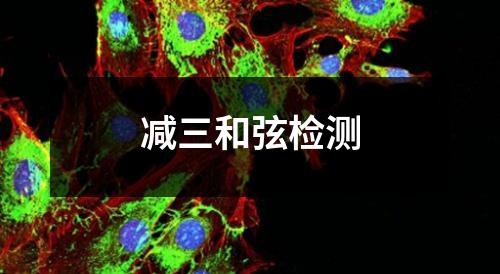 減三和弦檢測(cè)