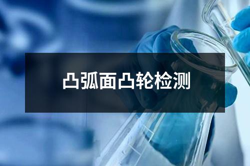 凸弧面凸輪檢測(cè)