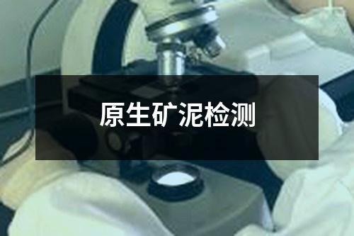 原生礦泥檢測