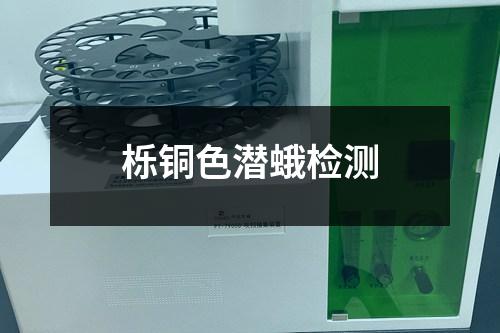 櫟銅色潛蛾檢測
