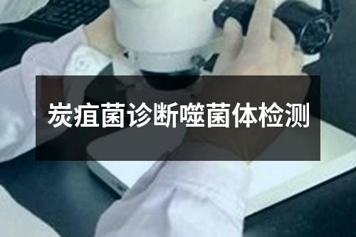 炭疽菌診斷噬菌體檢測