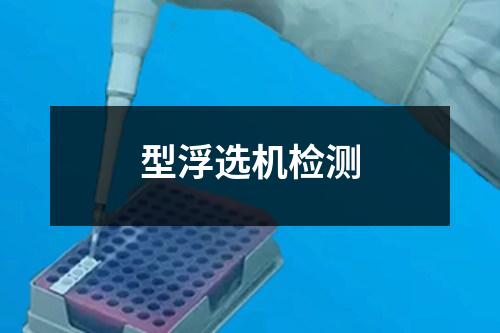 型浮選機(jī)檢測(cè)