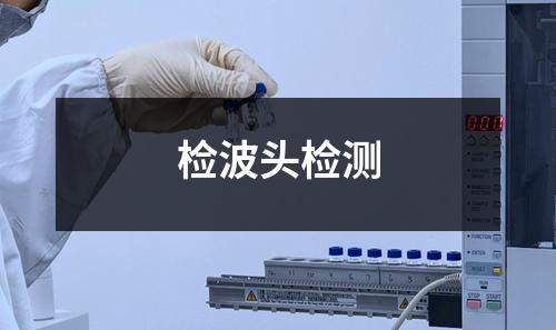 檢波頭檢測