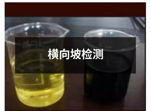 橫向坡檢測