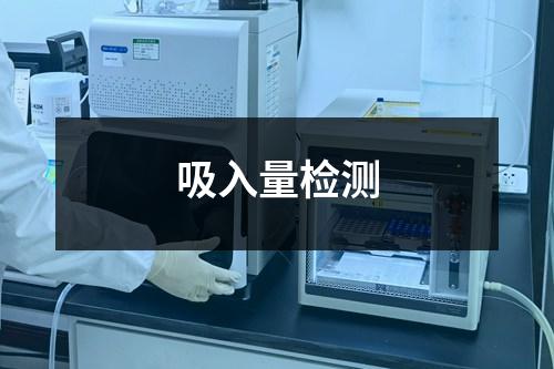 吸入量檢測