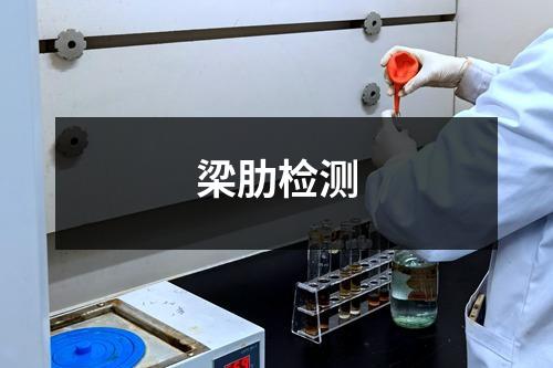 梁肋檢測(cè)