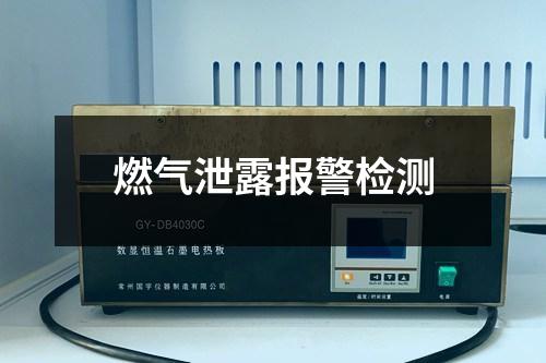 燃?xì)庑孤秷缶瘷z測