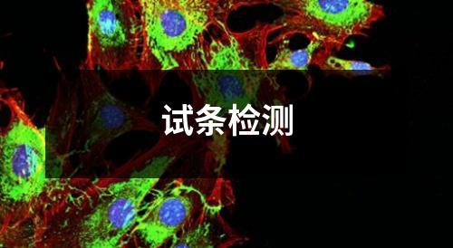 試條檢測(cè)